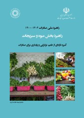 راهبرد ملی صادرات