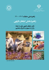 راهبرد ملی صادرات